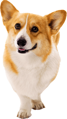 https://wp-join.heureka.group/wp-content/uploads/2025/07/02.png