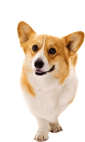 https://wp-join.heureka.group/wp-content/uploads/2025/09/02-1.png