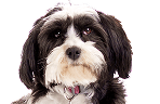https://wp-join.heureka.group/wp-content/uploads/2025/09/about_person_3.png